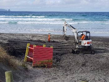 Hawaiki Cable beach digger-446
